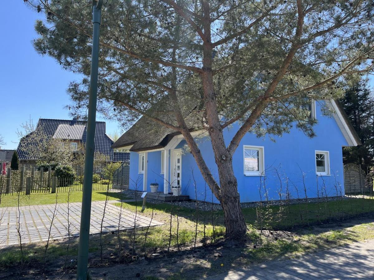 Ferienhaus De Niege Leive Борн Екстериор снимка